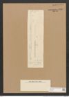 Homoeocladia pungens Grun. (de-Toni-Nr.: Genus 48, Species 2192) Zeichnungen Sammlung Grunow Nr. 4587 (NHMW-BOT-W0372601)